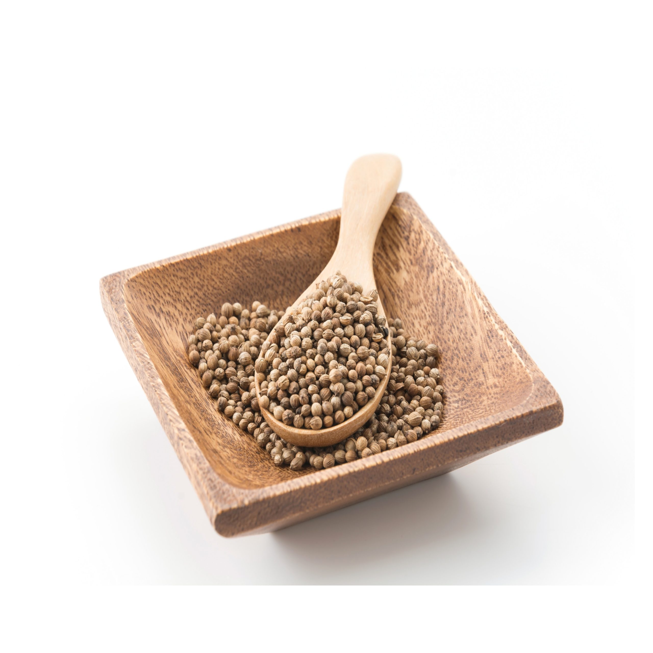 Coriander Seeds